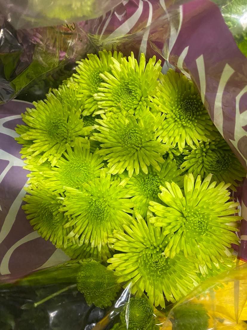 Green Athos